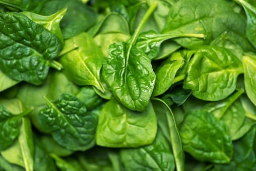 Bébispenót