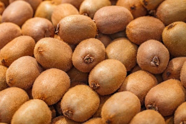 Kiwi