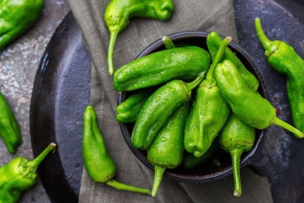 Padron paprika