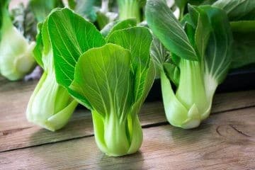 Pak Choi /bordáskel