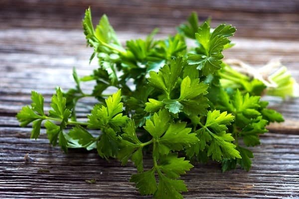 Petrezselyem