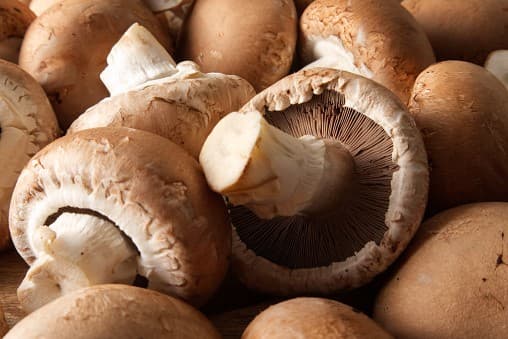 Portobello gomba
