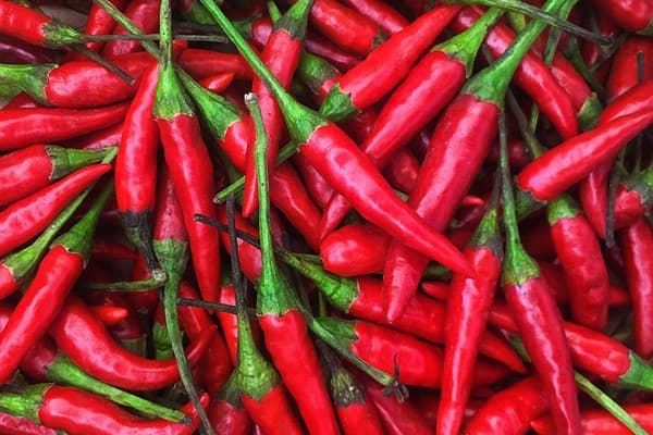 Thai Chili